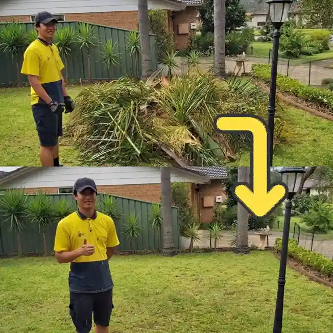 Before and after comparison of a lawn after rubbish removal