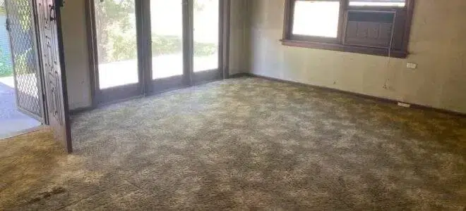 an empty room with a sliding glass door and brown floor carpet